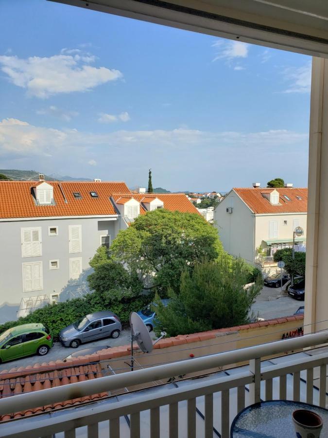 Pine Tree Apartment 杜布罗夫尼克 外观 照片